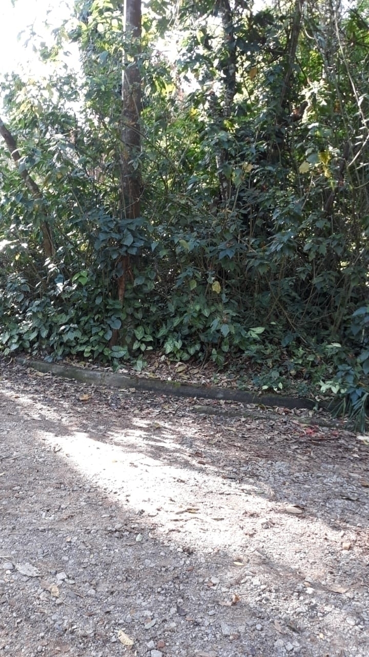 Terreno à venda, 2800m² - Foto 2