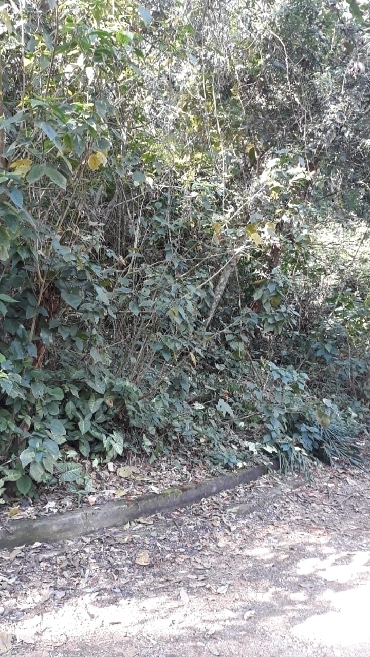 Terreno à venda, 2800m² - Foto 6