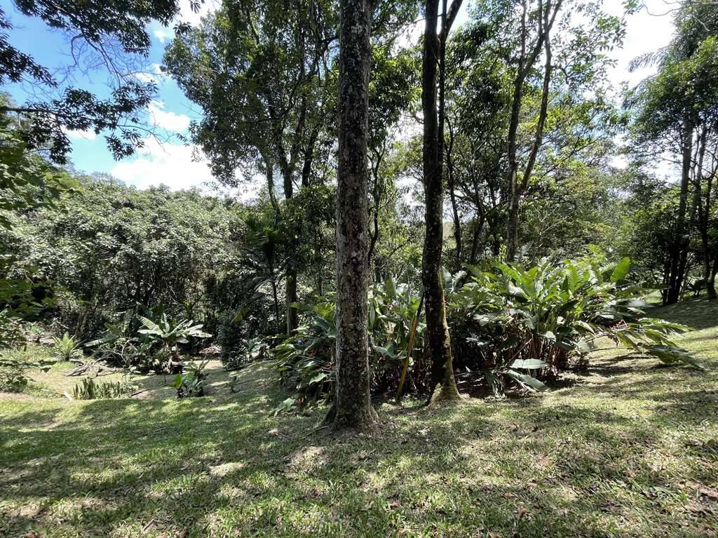 Terreno à venda, 22096m² - Foto 42