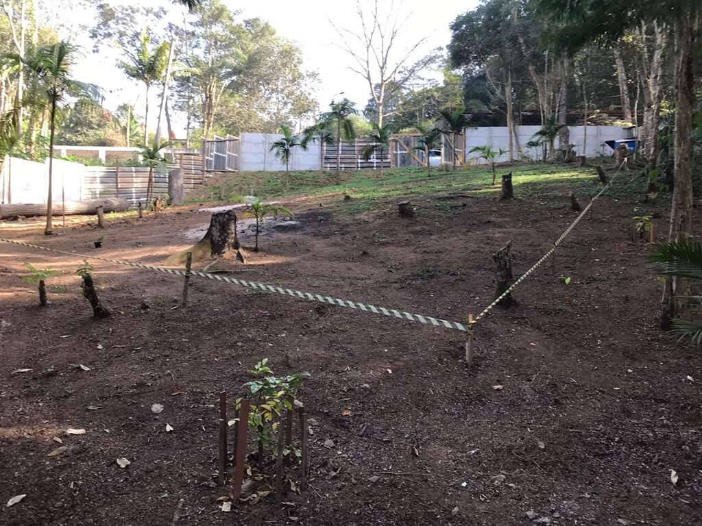 Terreno à venda, 1000m² - Foto 5