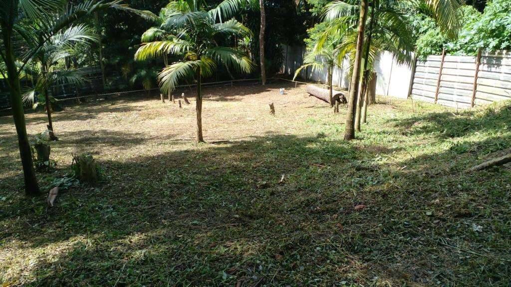 Terreno à venda, 1000m² - Foto 9