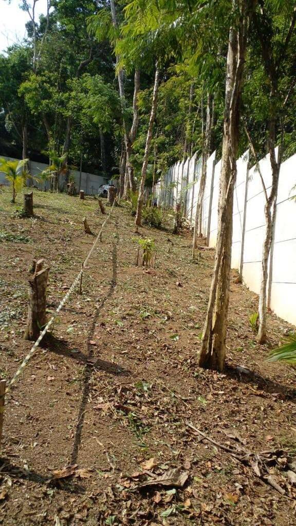 Terreno à venda, 1000m² - Foto 13