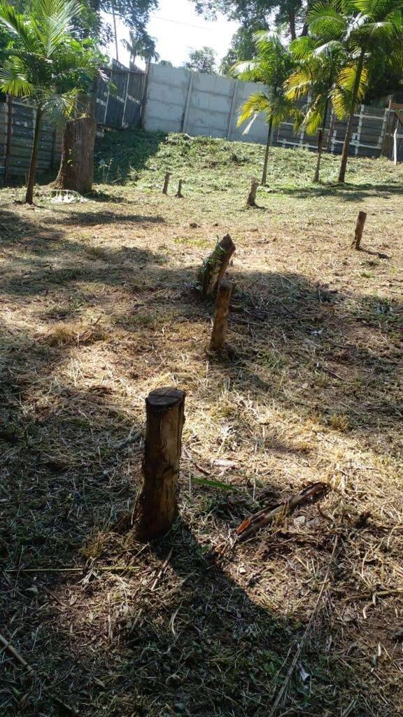 Terreno à venda, 1000m² - Foto 15
