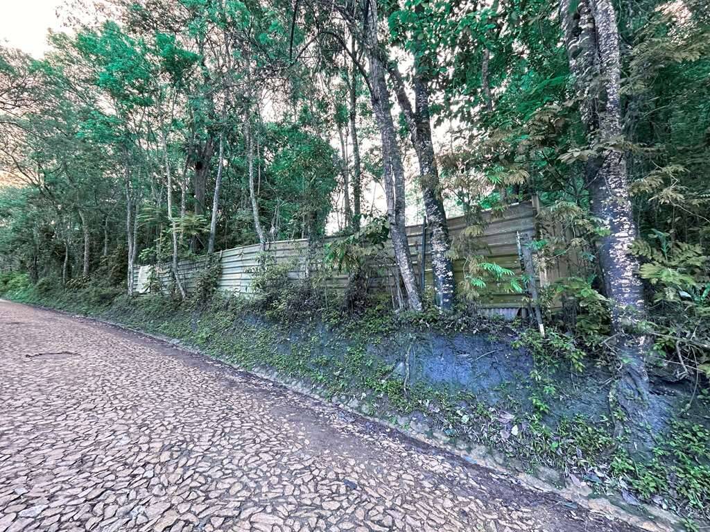 Terreno à venda, 1000m² - Foto 23