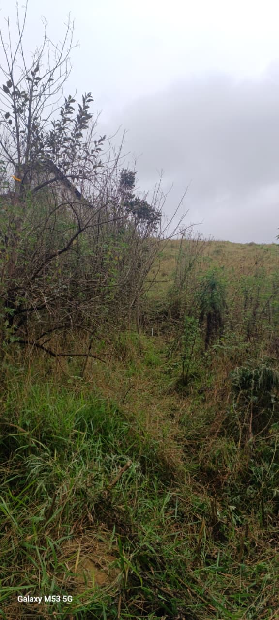 #TE233 - Terreno para Venda em Cotia - SP