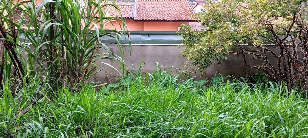 Terreno à venda, 250m² - Foto 1