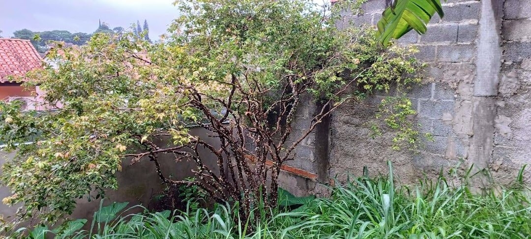Terreno à venda, 250m² - Foto 2