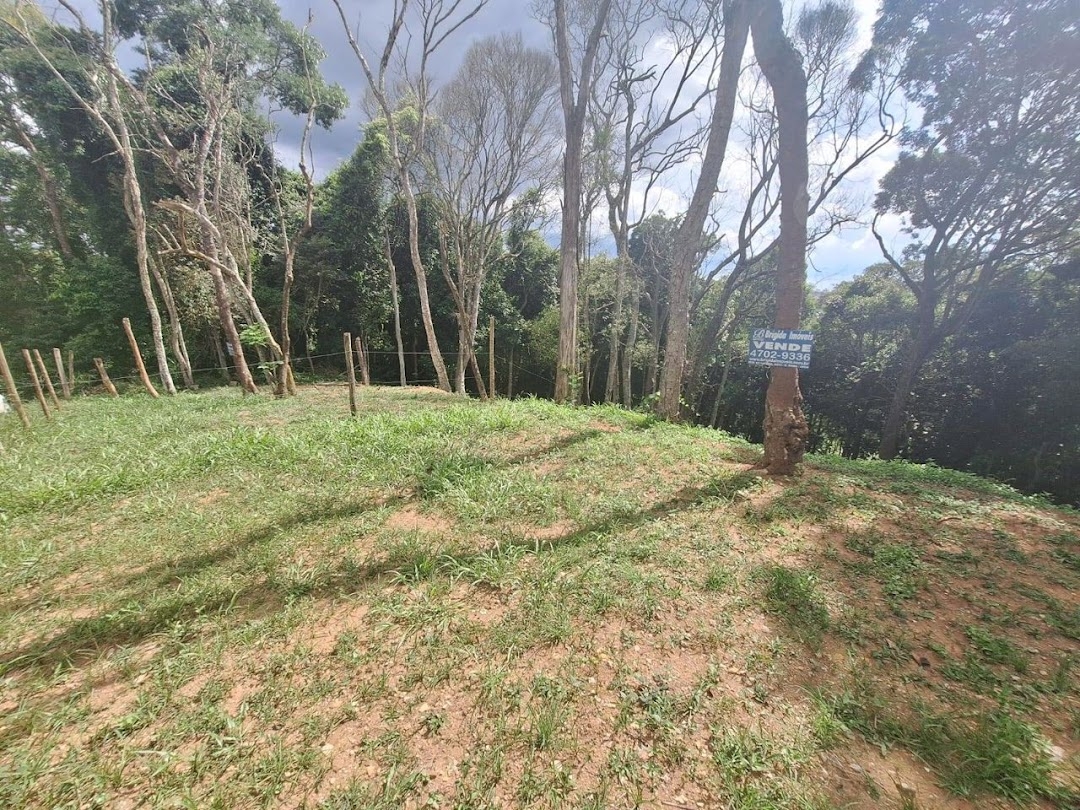 Terreno à venda, 1575m² - Foto 3