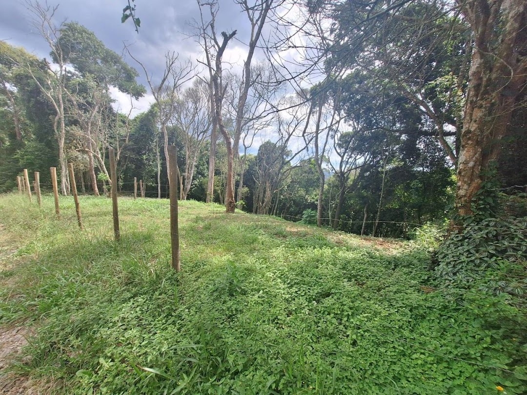 Terreno à venda, 1575m² - Foto 6