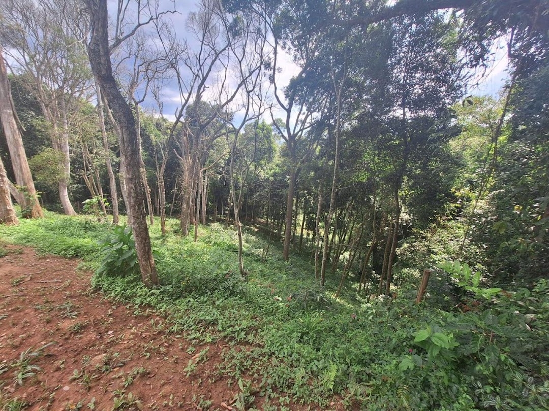 Terreno à venda, 1575m² - Foto 13