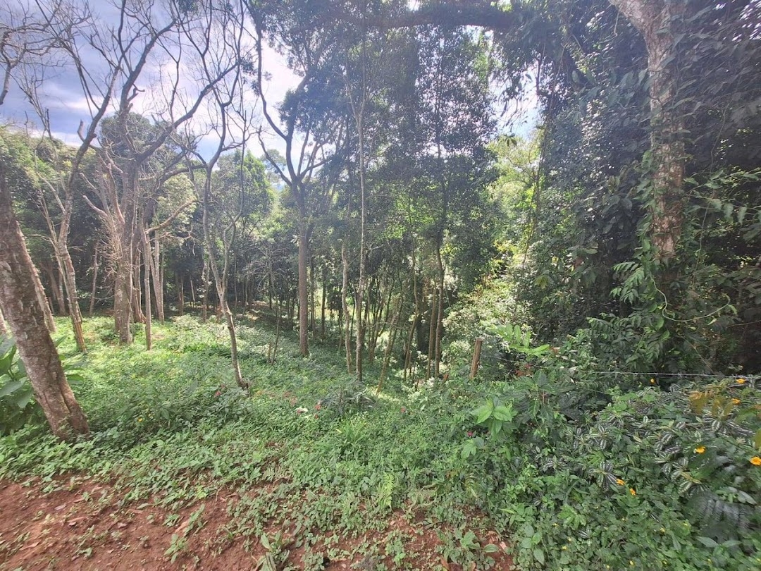 Terreno à venda, 1575m² - Foto 14