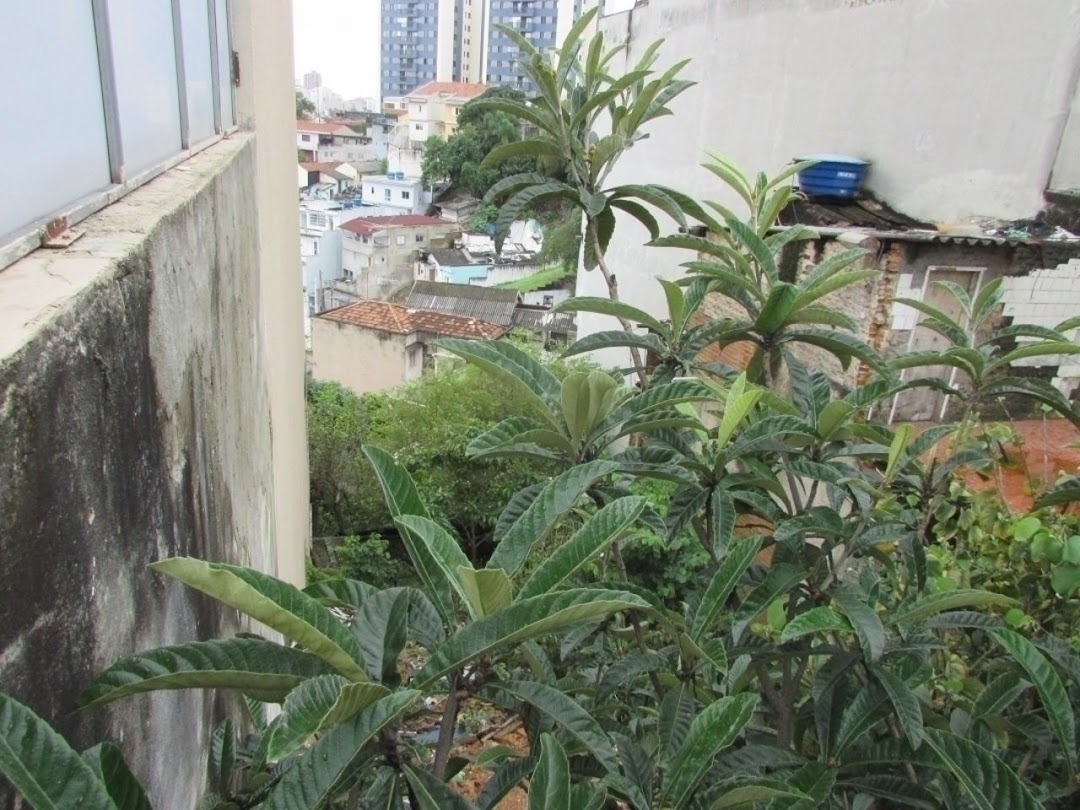 Terreno, 300 m² - Foto 1