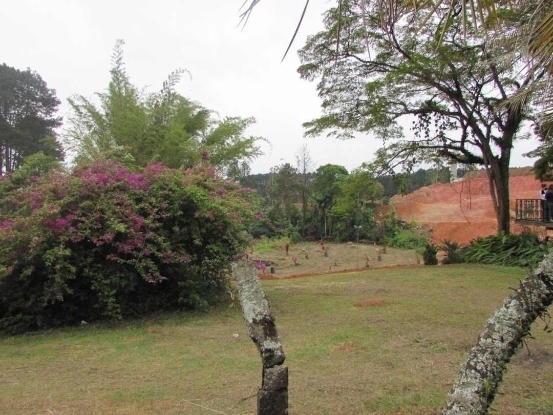 Terreno à venda, 125m² - Foto 3