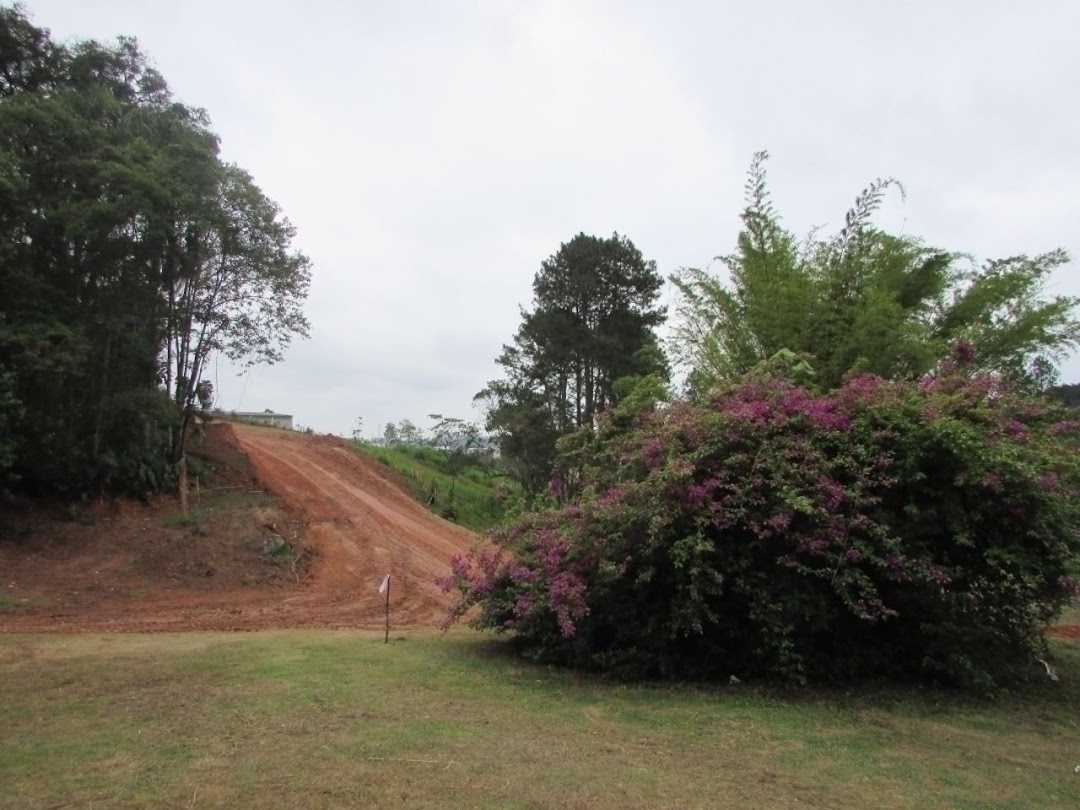 Terreno à venda, 125m² - Foto 4