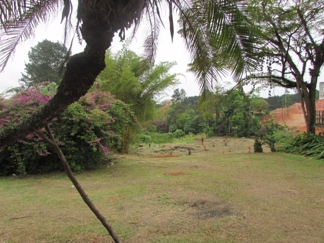 Terreno à venda, 125m² - Foto 8