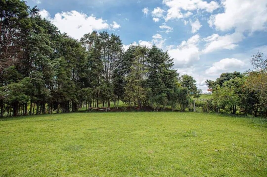 Sítio, 4 quartos, 2 hectares - Foto 16