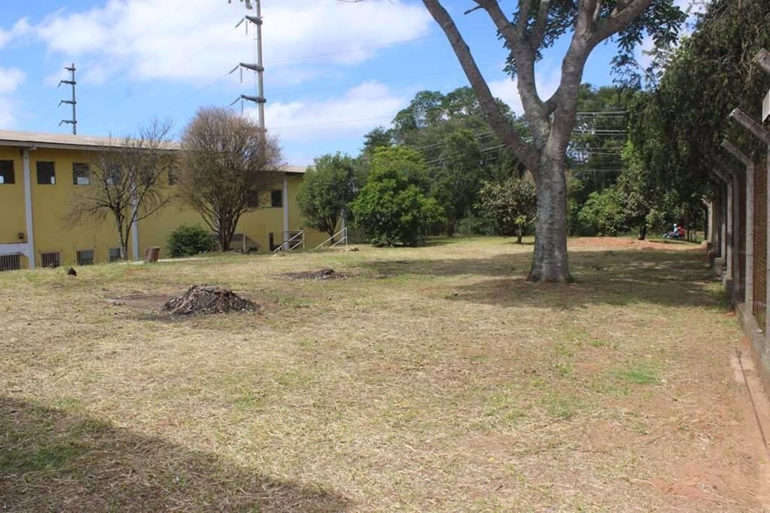 Depósito-Galpão, 800 m² - Foto 31