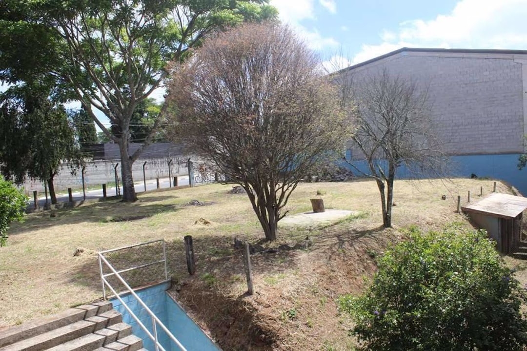 Depósito-Galpão, 800 m² - Foto 33