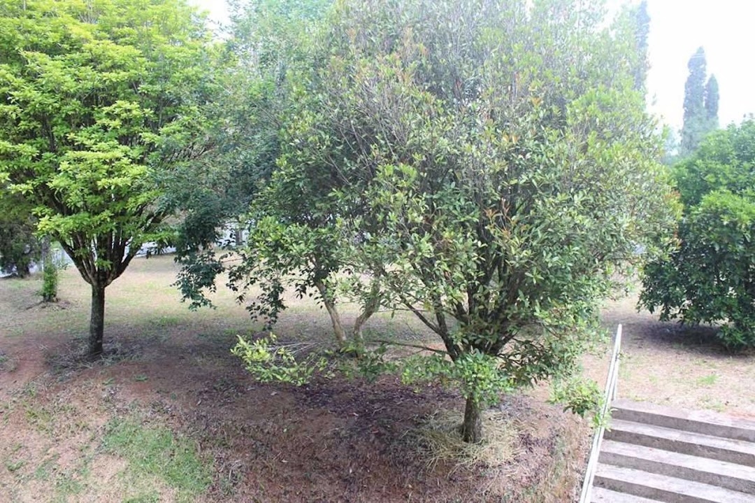 Depósito-Galpão, 800 m² - Foto 35