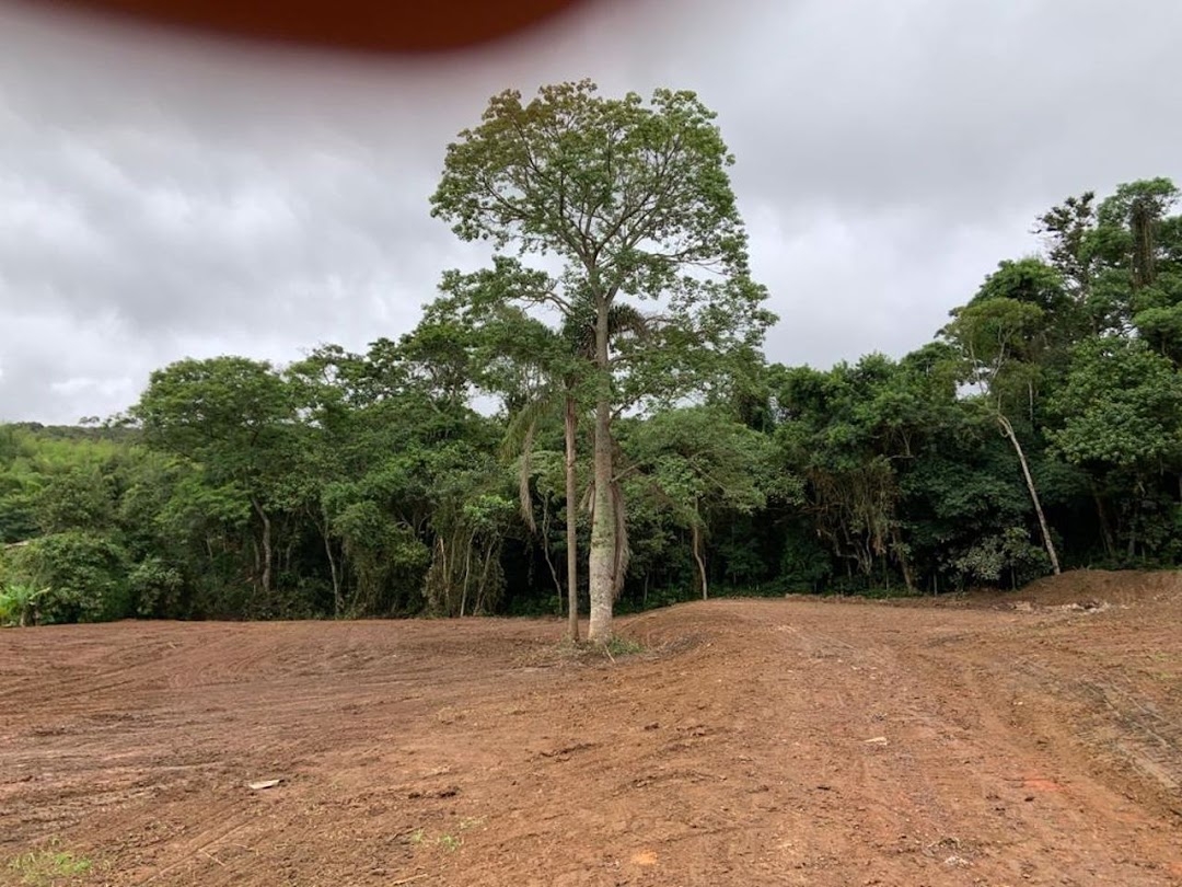 Terreno à venda, 24200m² - Foto 3