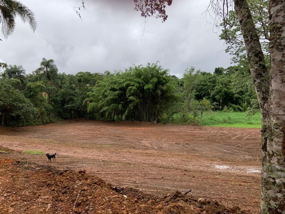 Terreno à venda, 24200m² - Foto 7
