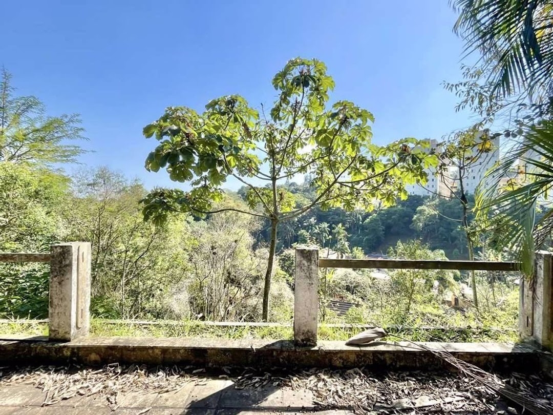 Casa, 4 quartos, 700 m² - Foto 33