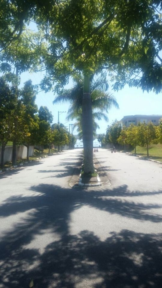 Terreno, 560 m² - Foto 7