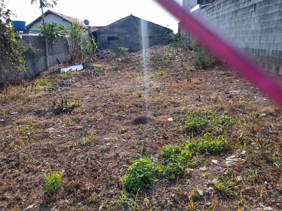 Terreno, 250 m² - Foto 2