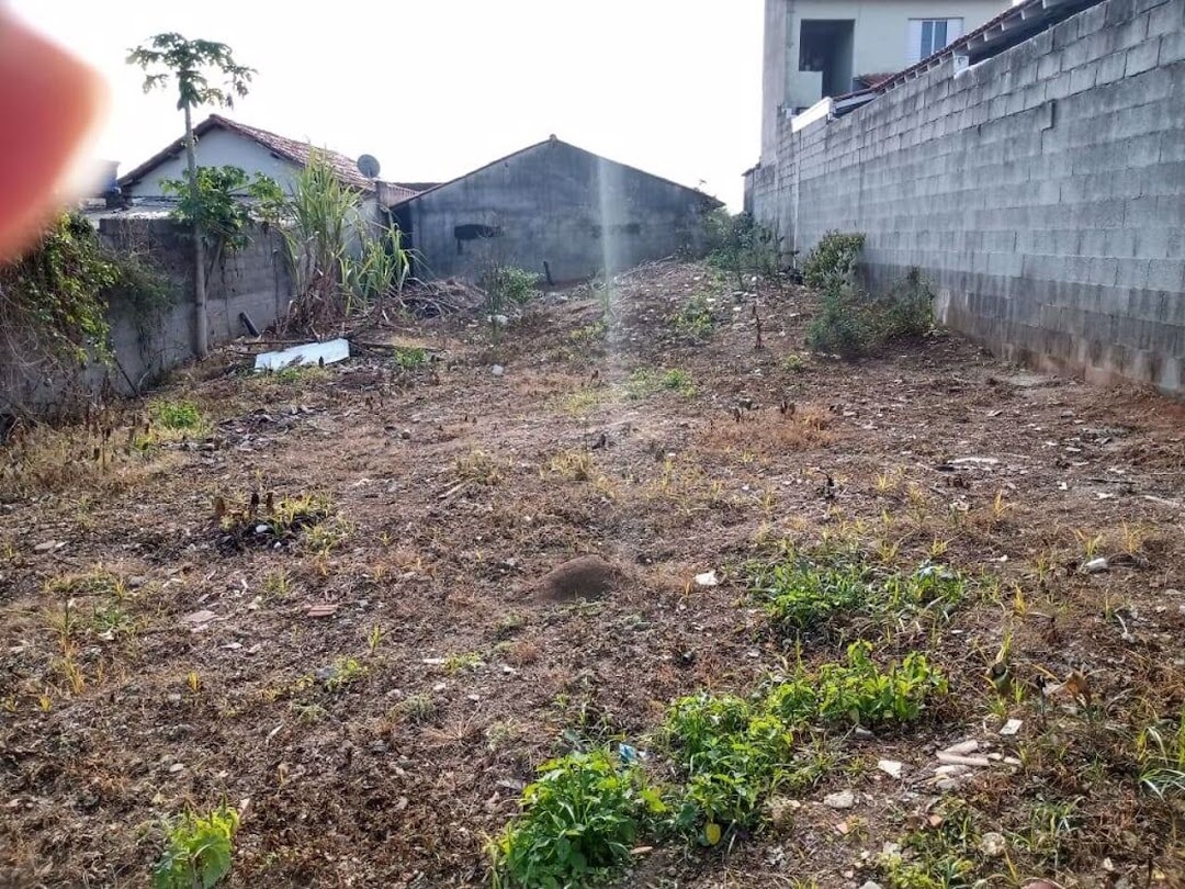 Terreno, 250 m² - Foto 5