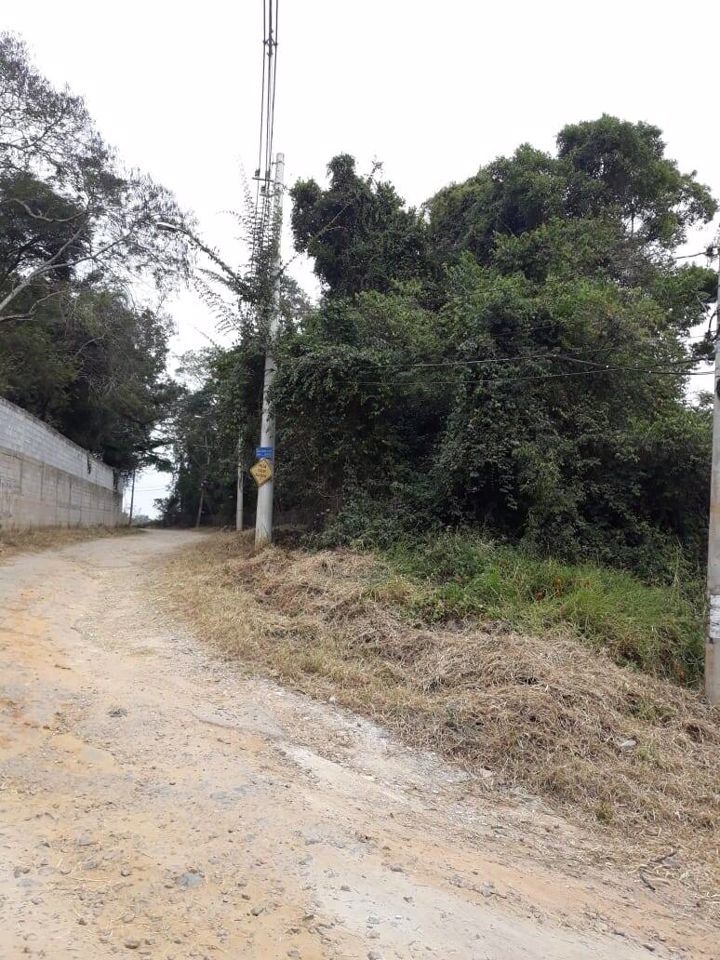 Terreno, 6000 m² - Foto 4