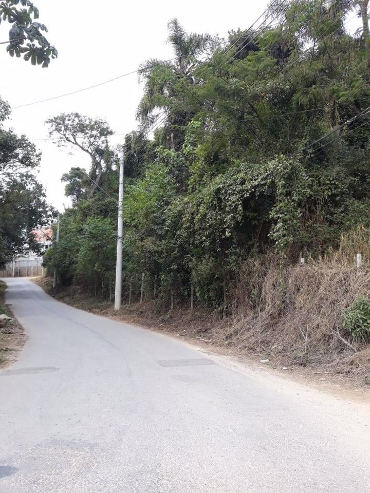 Terreno, 6000 m² - Foto 6