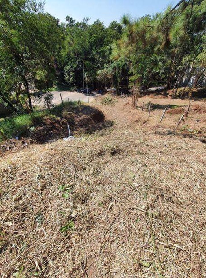 Terreno à venda, 1239m² - Foto 5