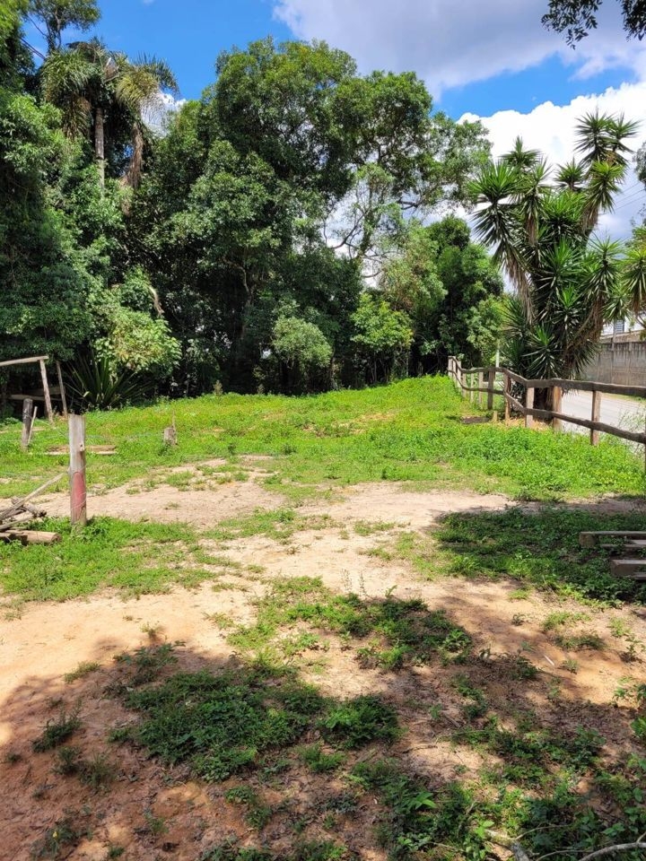 Terreno à venda, 290400m² - Foto 3
