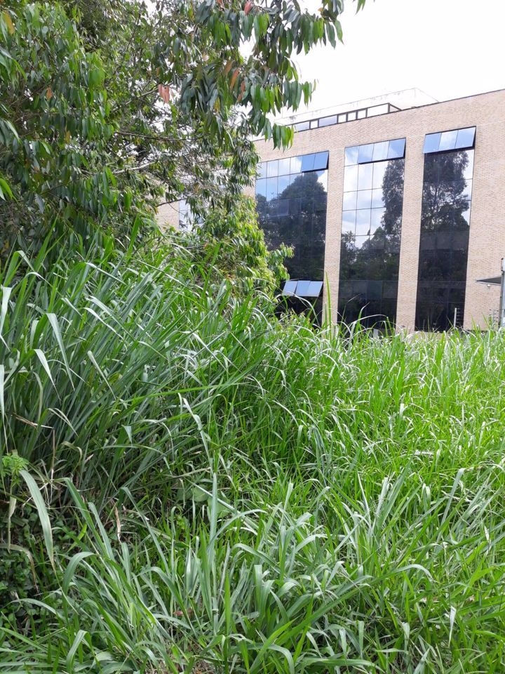 Terreno, 5700 m² - Foto 1