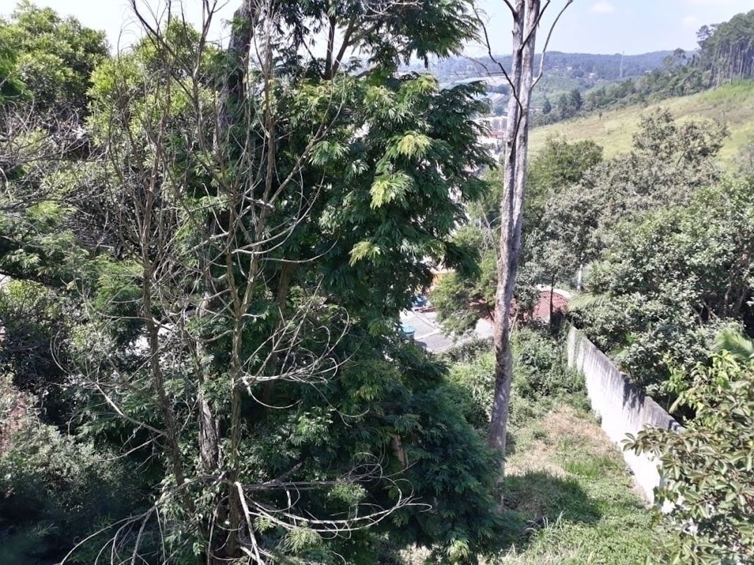 Casa à venda com 3 quartos, 144m² - Foto 4