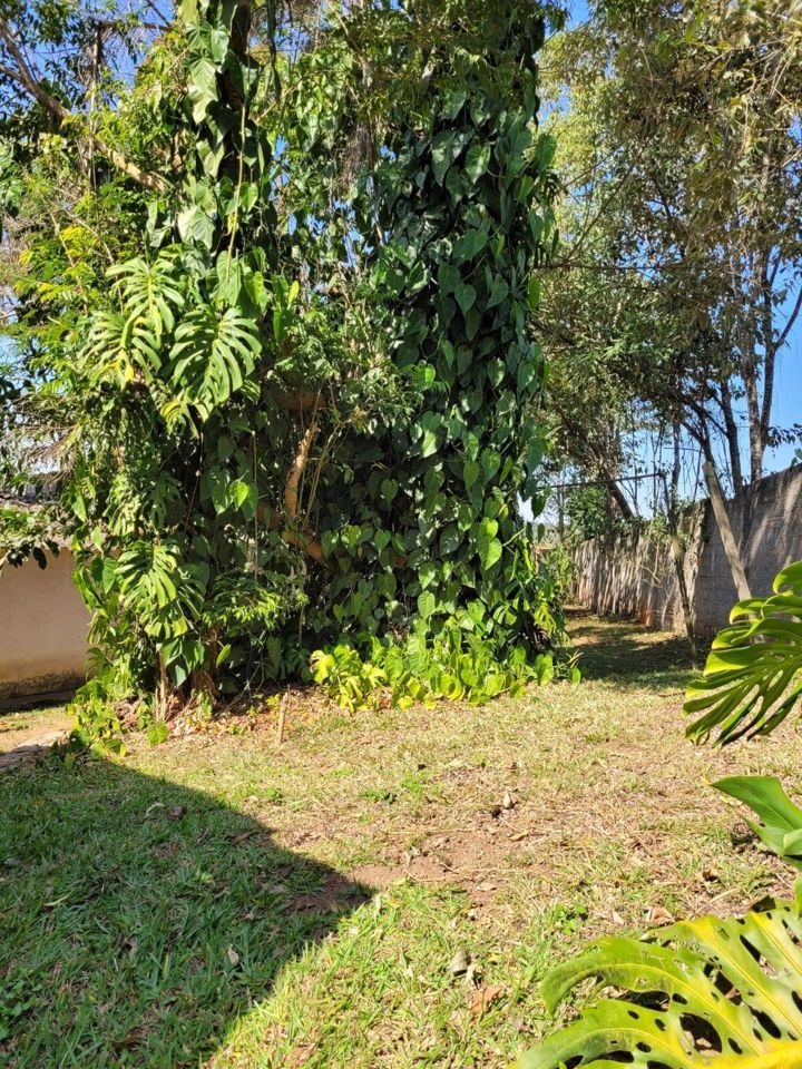 Casa à venda e aluguel com 4 quartos, 400m² - Foto 30