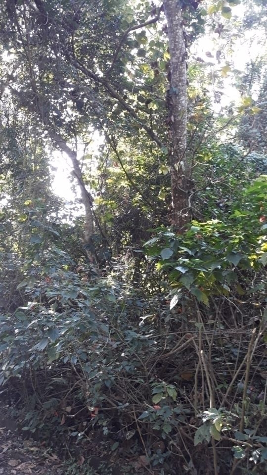 Terreno, 2800 m² - Foto 1