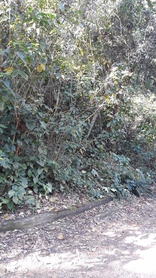 Terreno, 2800 m² - Foto 2