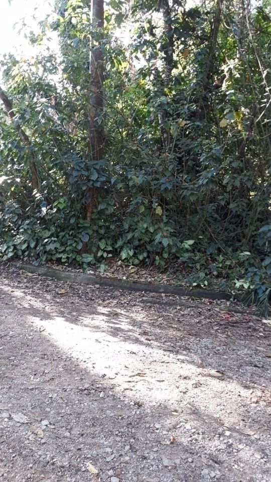 Terreno, 2800 m² - Foto 5