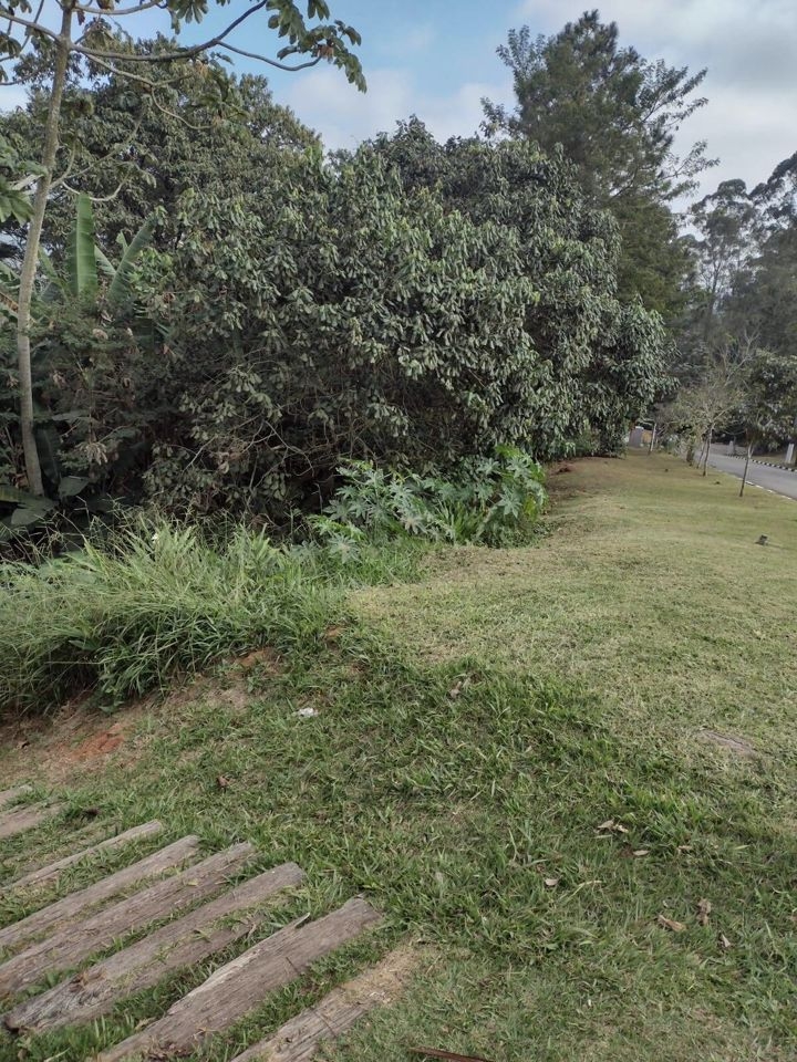 Terreno, 704 m² - Foto 1