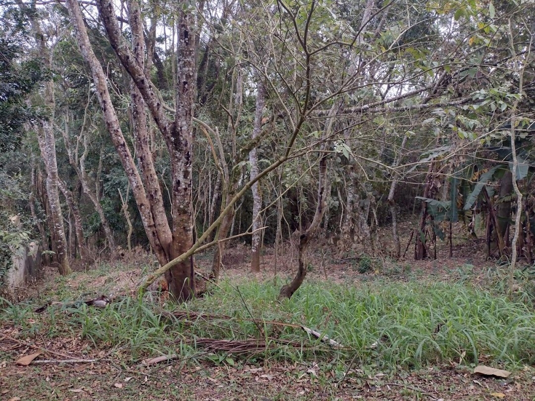 Terreno, 704 m² - Foto 2