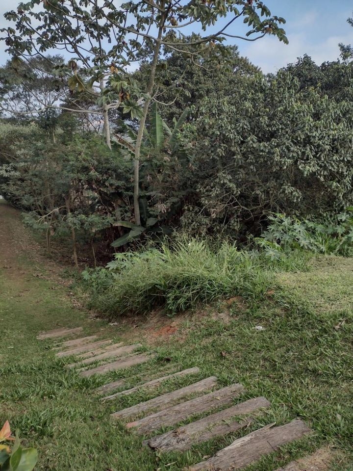 Terreno, 704 m² - Foto 3