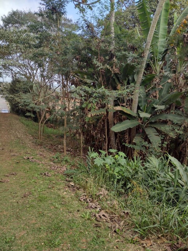 Terreno, 704 m² - Foto 5