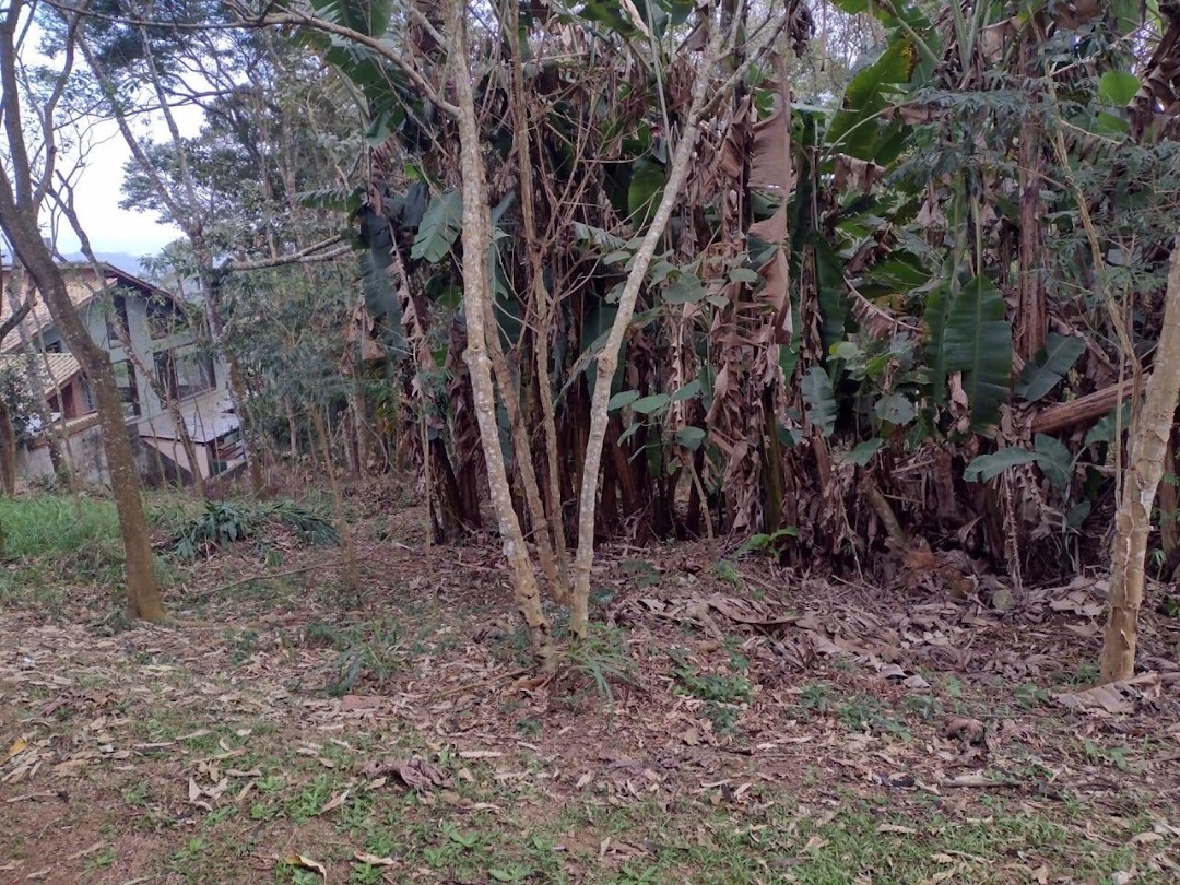 Terreno, 704 m² - Foto 6