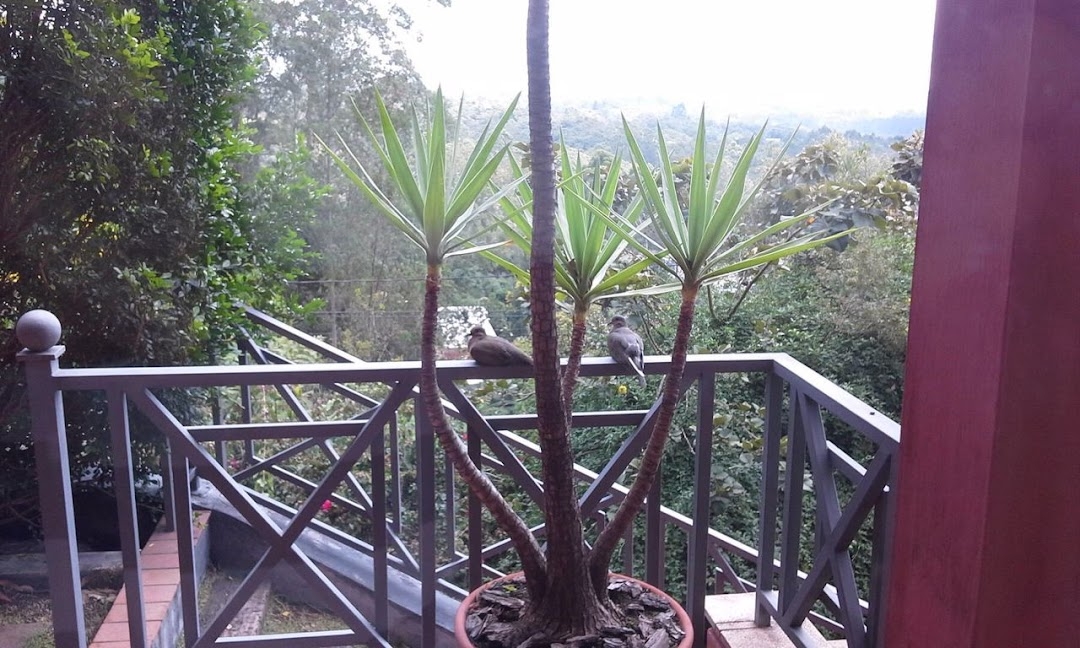 Casa, 3 quartos, 300 m² - Foto 5