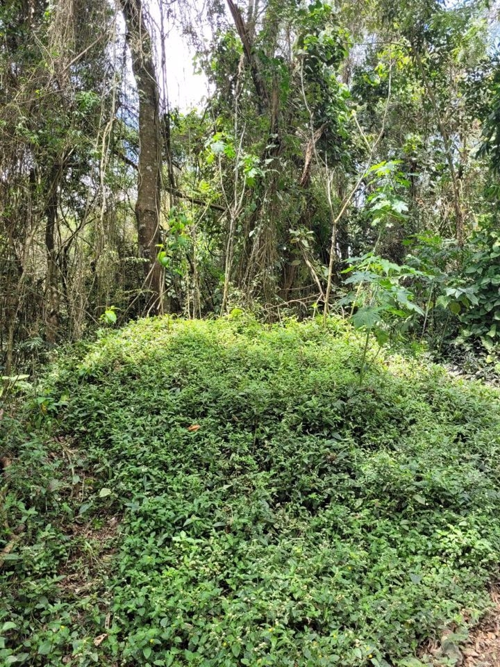 Terreno, 1003 m² - Foto 1