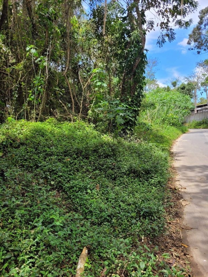 Terreno, 1003 m² - Foto 2