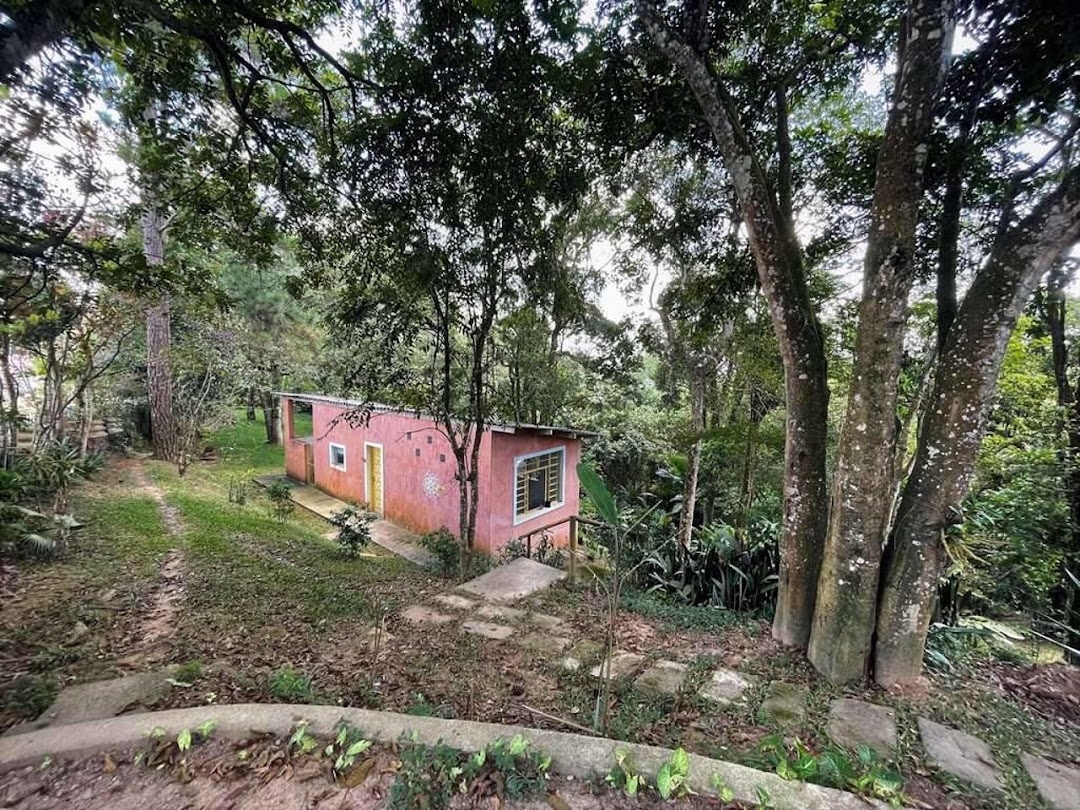 Terreno, 2 hectares - Foto 13