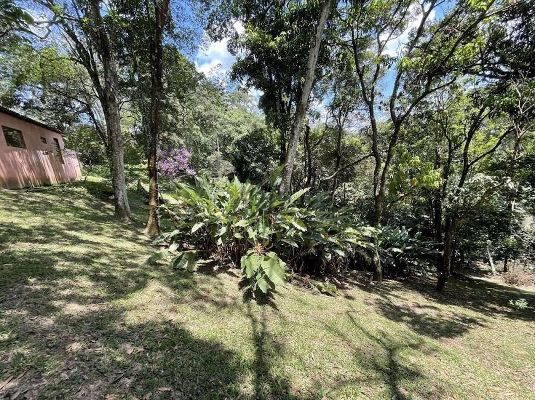 Terreno, 2 hectares - Foto 33