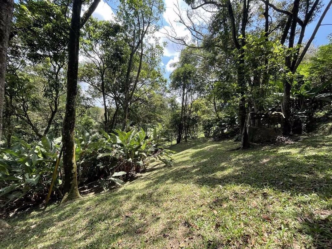 Terreno, 2 hectares - Foto 40